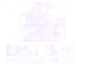 80 GSM Corporate Pad/ Company Pad/ Office Pad Print 1 Color